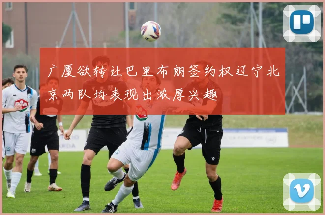广厦欲转让巴里布朗签约权辽宁北京两队均表现出浓厚兴趣